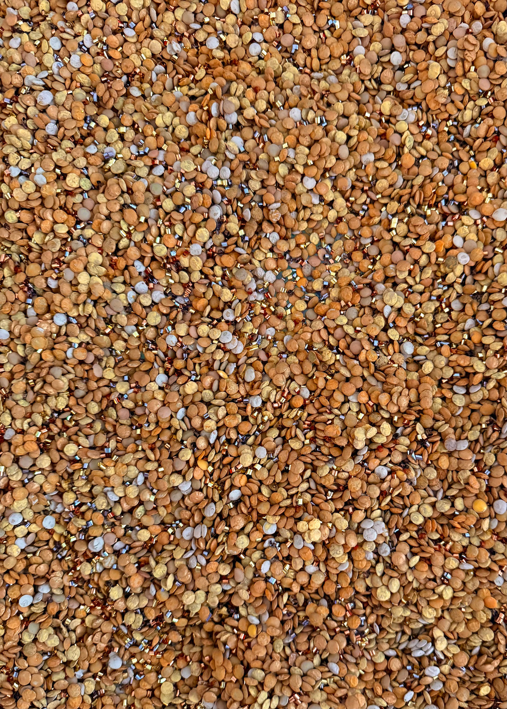Gold Mine