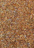 Gold Mine