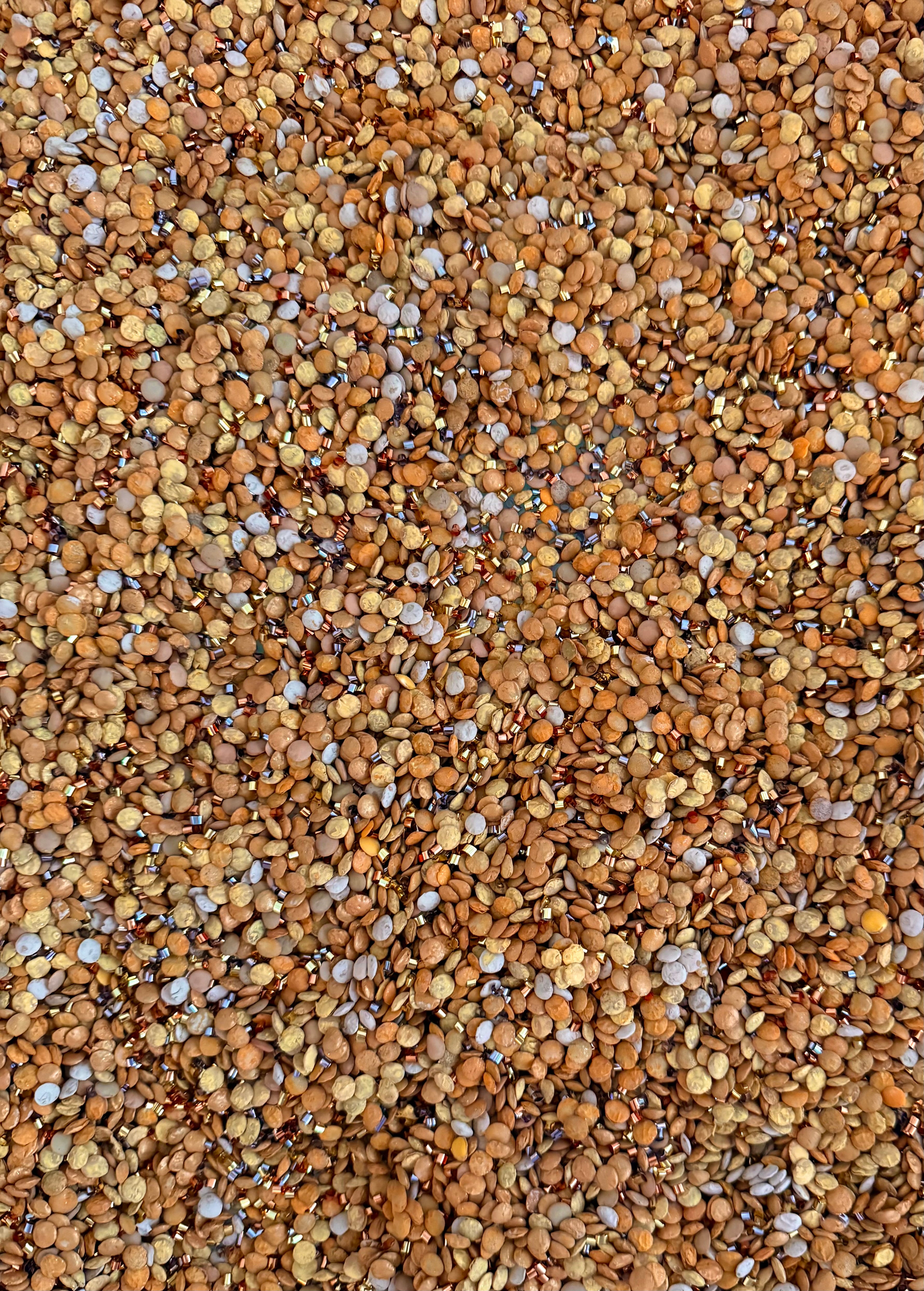 Gold Mine
