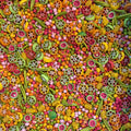 Tutti Fruity